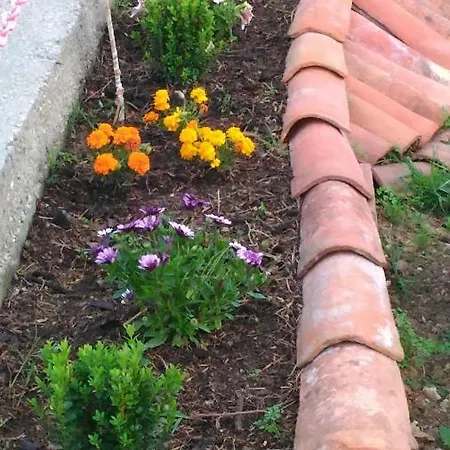 度假居 Visitar Ii - Casa Tradicional Familiar