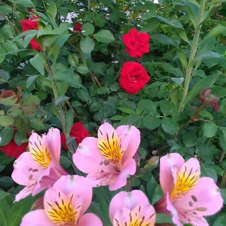 度假居 Visitar Ii - Casa Tradicional Familiar *