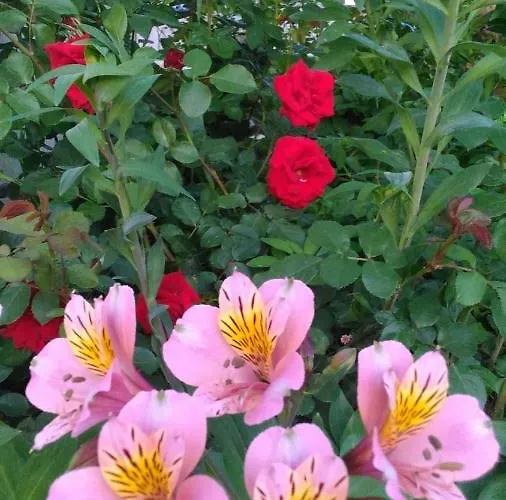 別荘 Visitar Ii - Casa Tradicional Familiar *